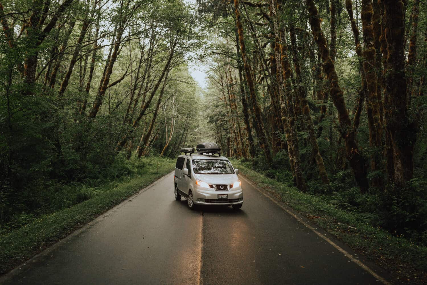 Getting Around Olympic National Park - Van in Rainforest - TheMandagies.com