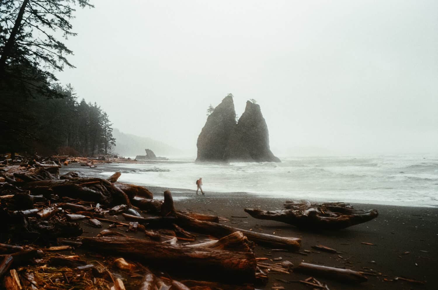 Rialto Beach Trail with Leica M6 - TheMandagies.com