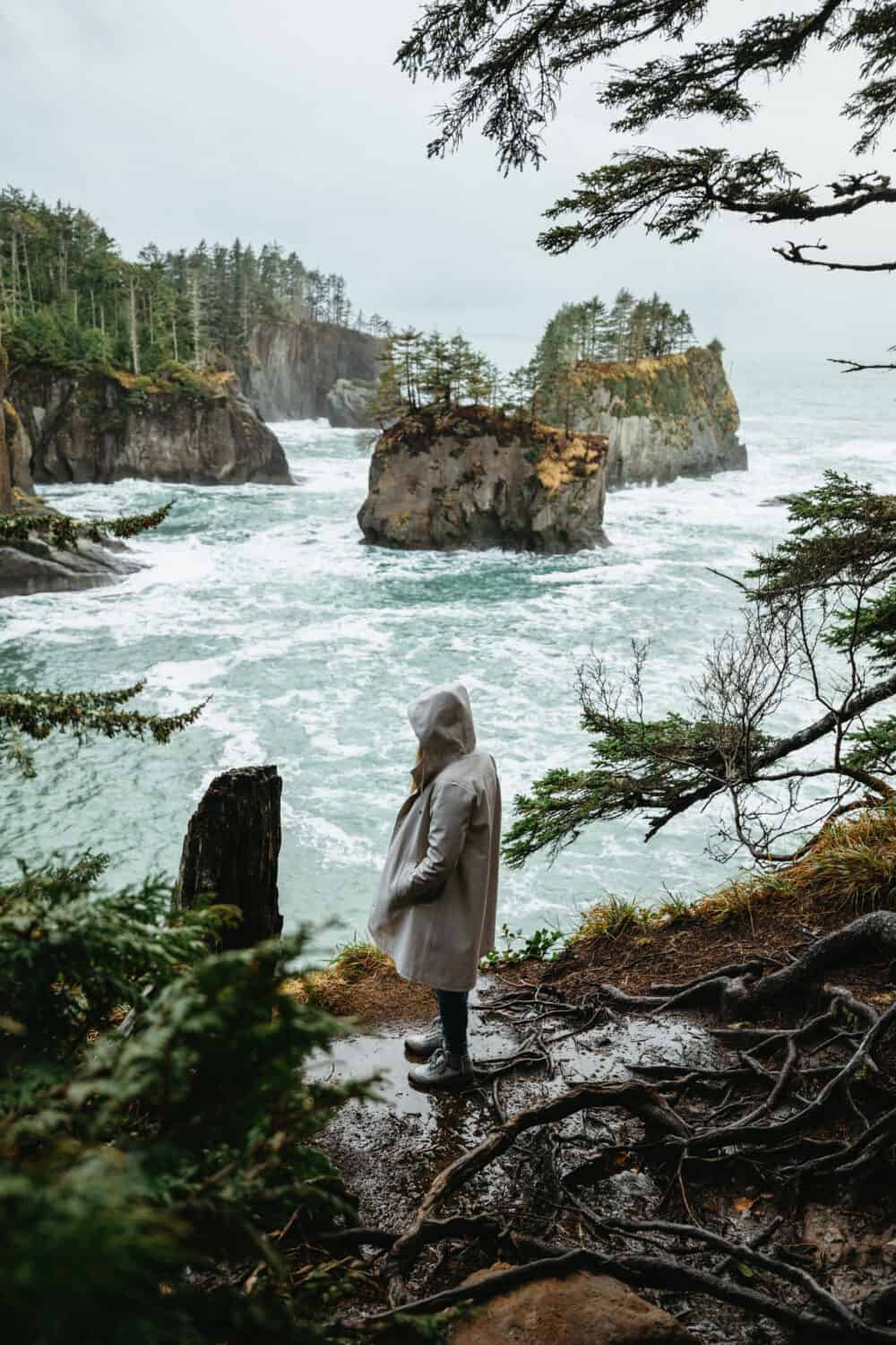 View of Cape Flattery, Makah Recreation Land, Washington - TheMandagies.com