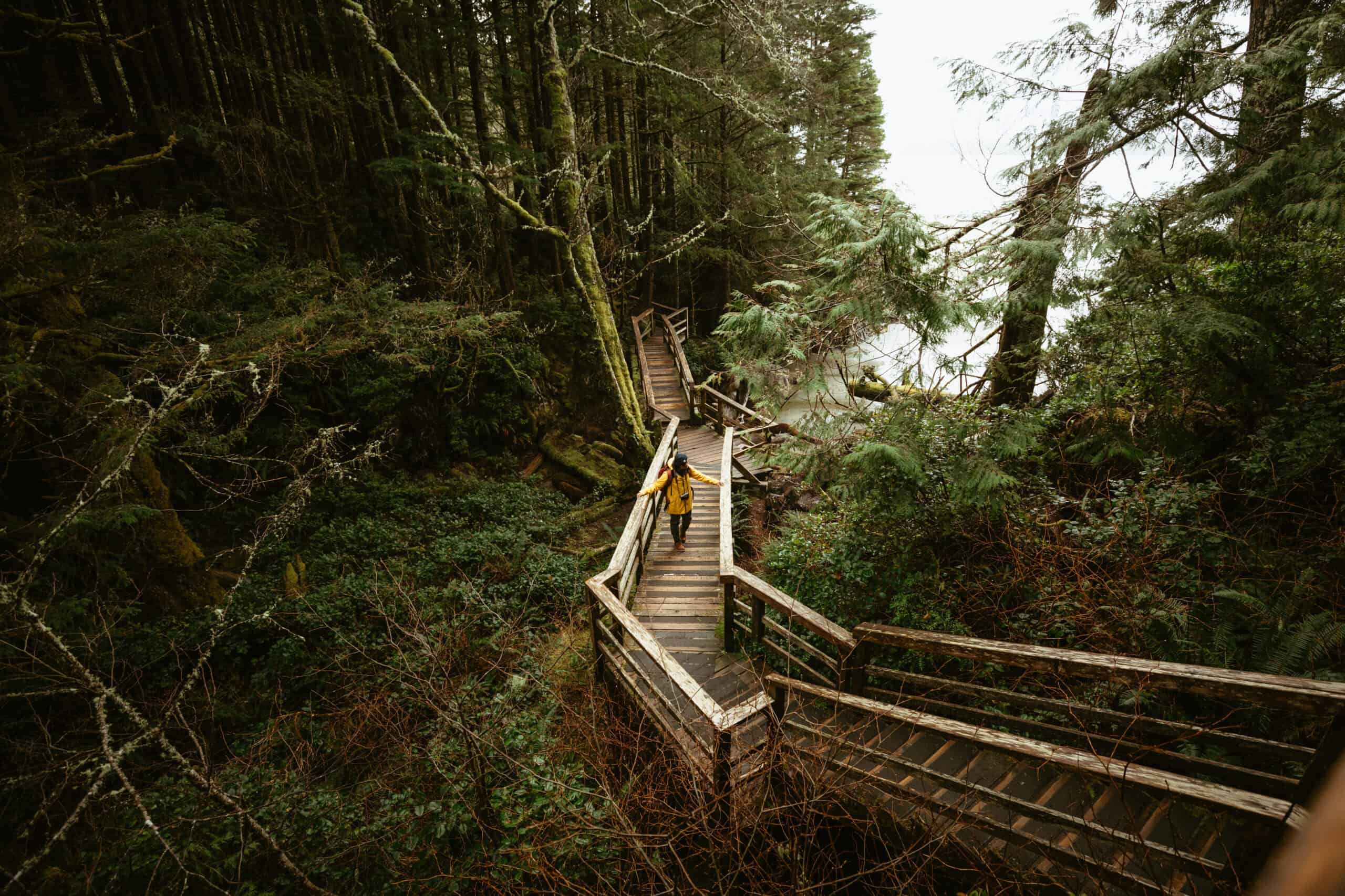 13 Epic Hikes in Tofino Plucked Right From The Rainforest