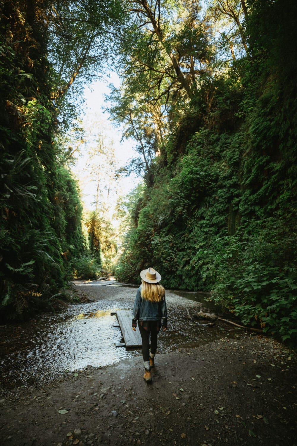 Fern Canyon Hike Details