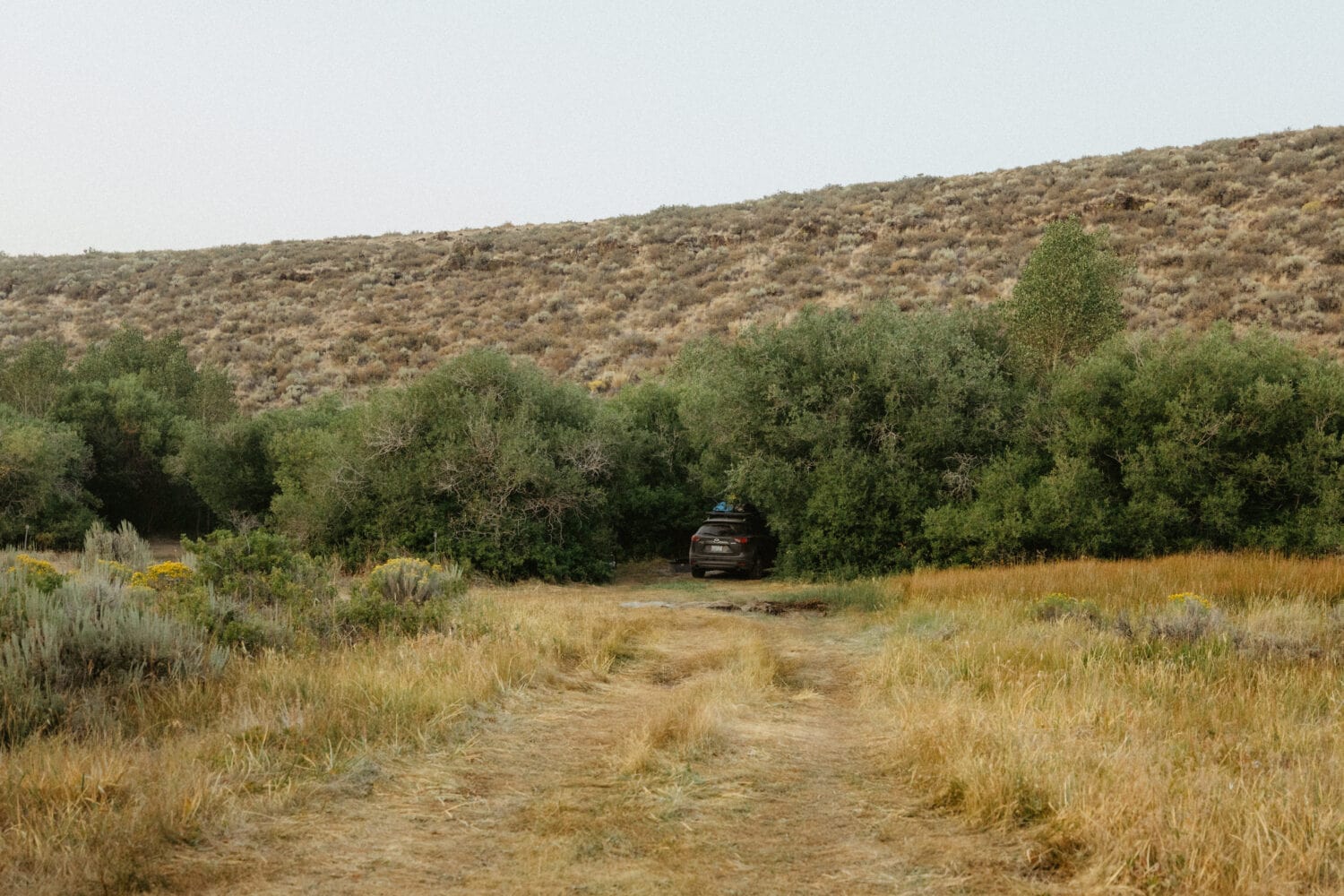 Camping in Hart Mountain Campground, Oregon