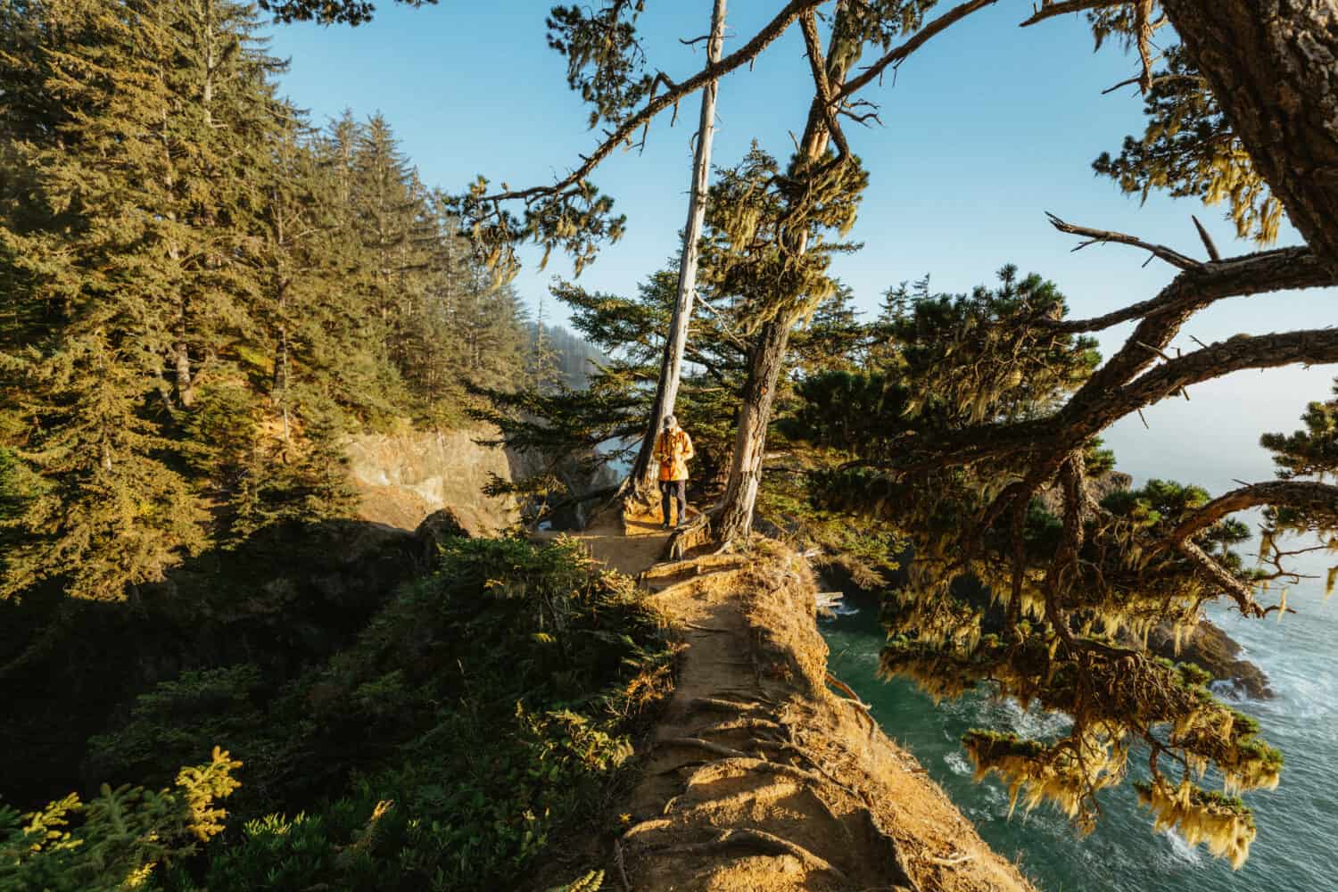 Sketchy Trail to Samuel H Boardman Natural Bridges