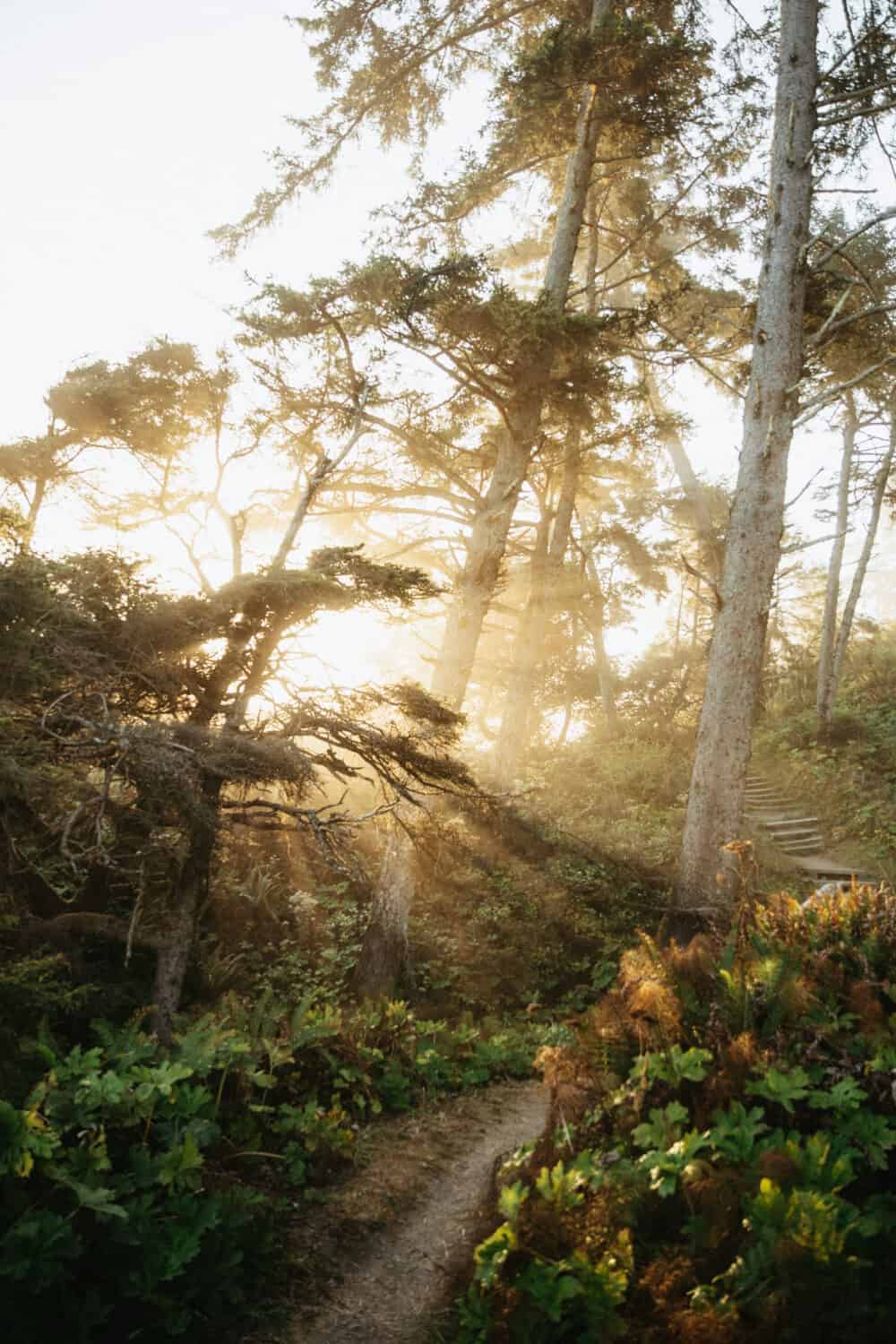 Sunrise at Patricks Point State Park