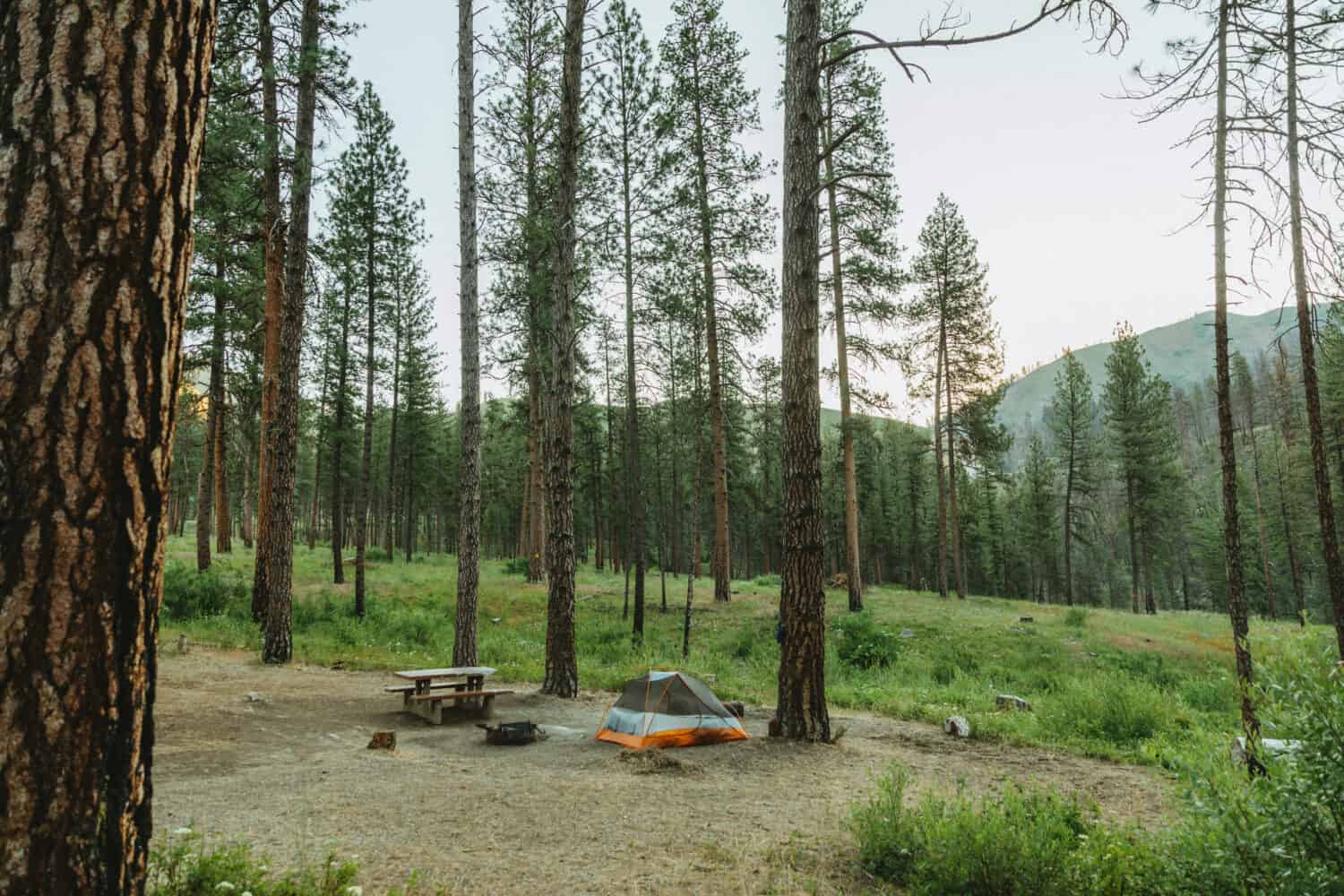 Pine Flats Campground