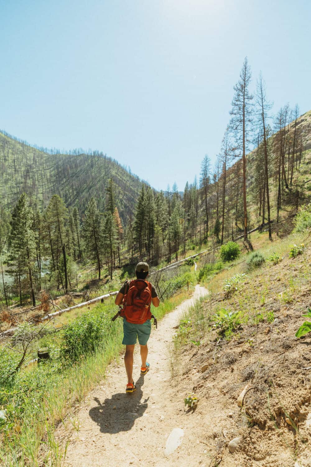 Pine Flats Hot Spings Trail