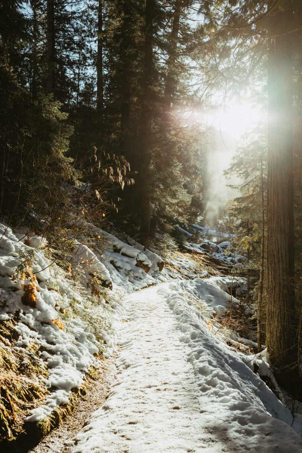 The Trail to Jerry Johnson Hotsprings 