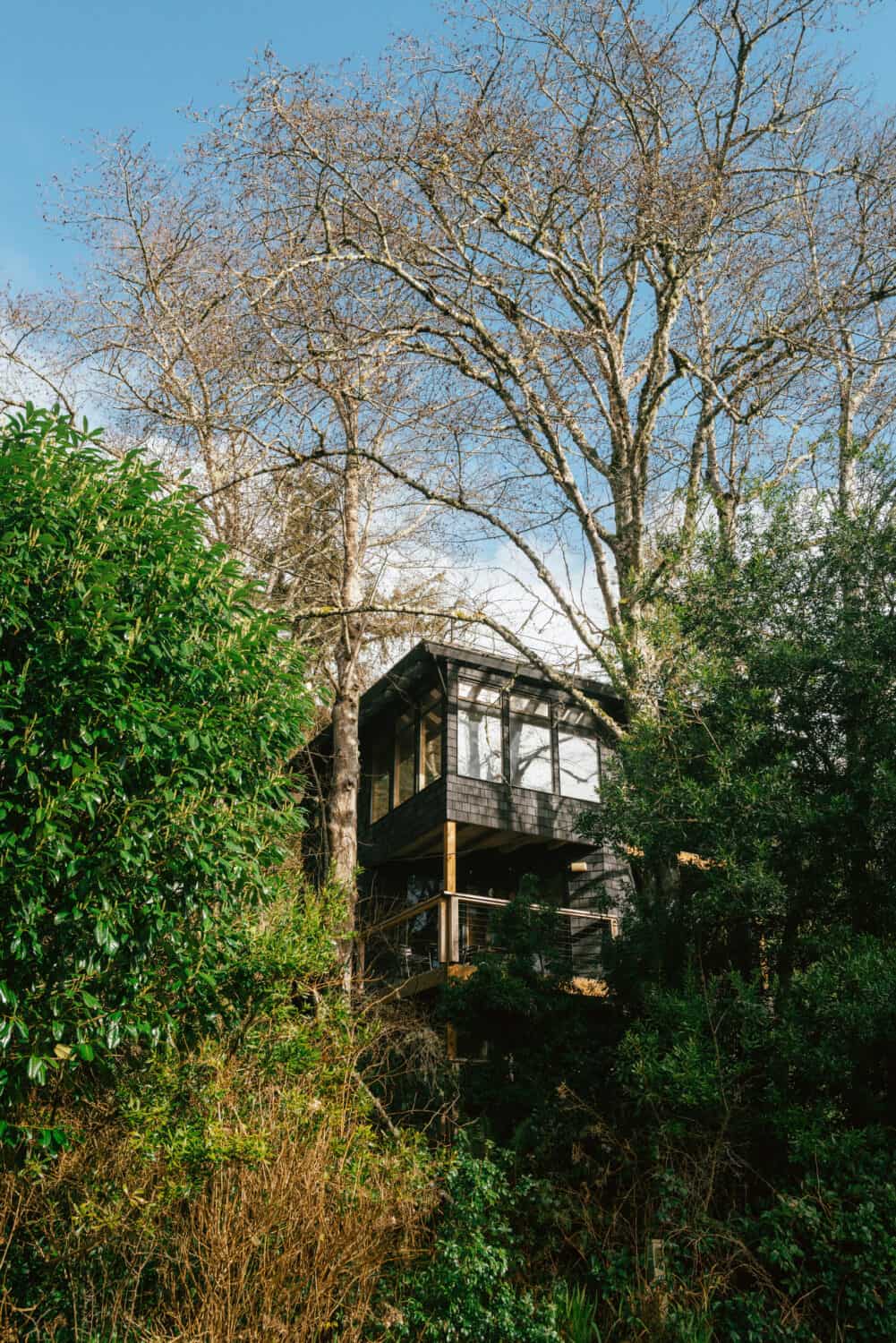 Oregon Coast Modern Exterior