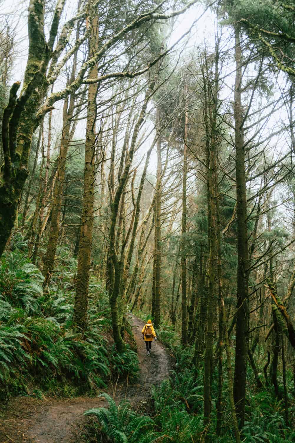 Hikes Near Cannon Beach