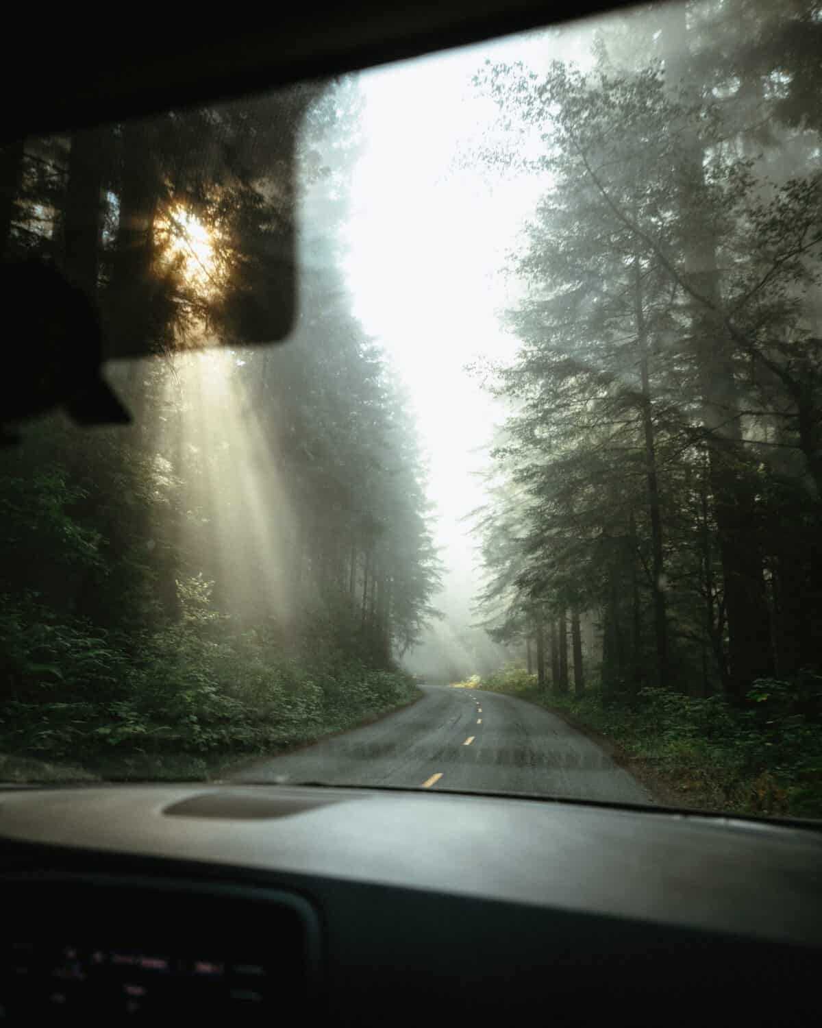 Driving on the Oregon Coast