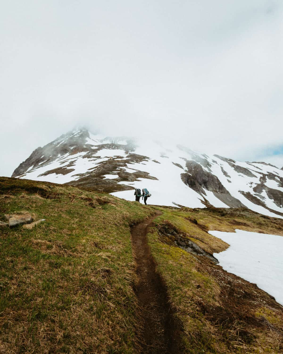 Hiking through an alpine heather meadow