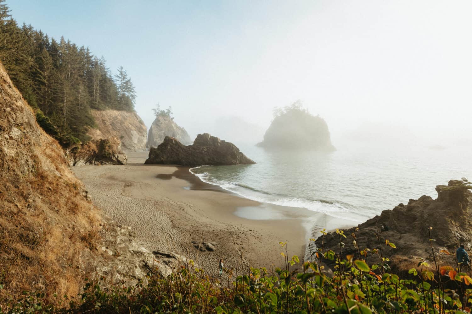 Landscape view of Secret Beach in Oregon