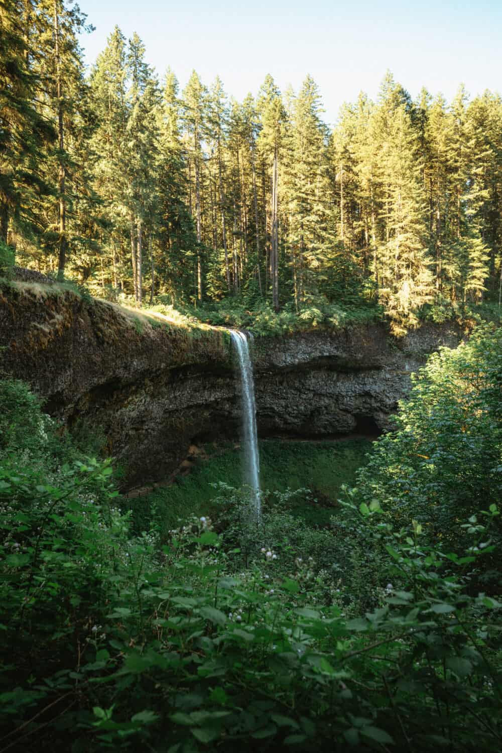 Willamette Valley Itinerary - hiking to Silver Falls State Park