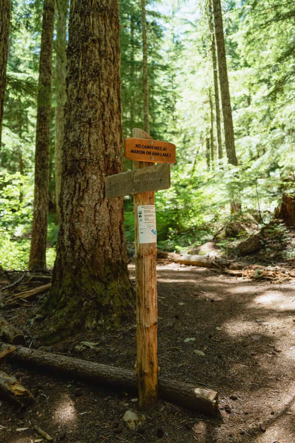 Signs on Marion Lake Trail Oregon