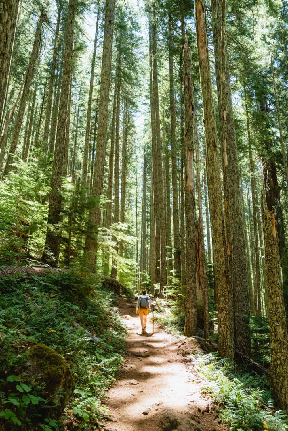 Emily Mandagie on Marion Falls Trail Oregon