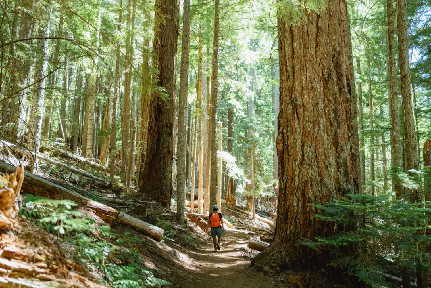 Berty Mandagie walking on Marion Falls hike in Oregon