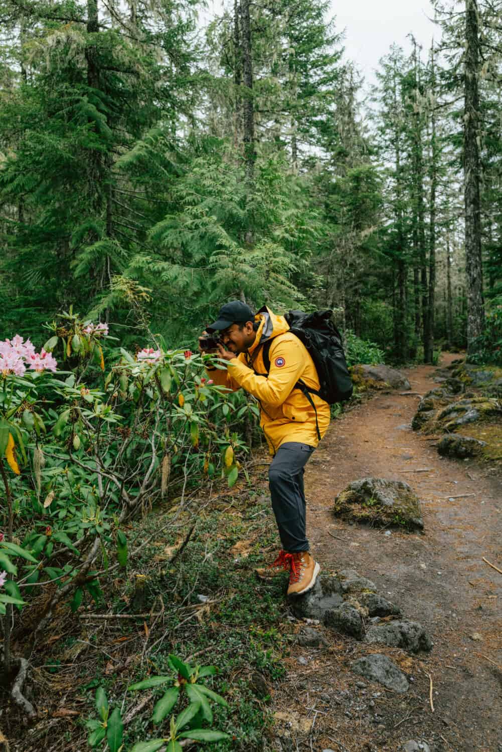 Berty Mandagie taking pictures of a Rhododendron Flower on Ramona Falls Trail in the Mount Hood National Forest
