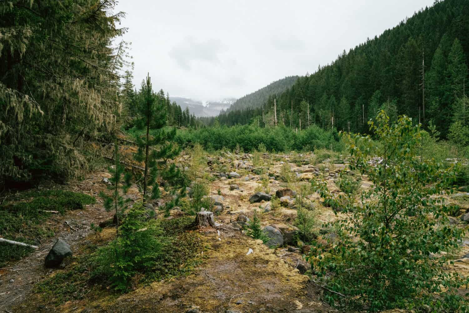 Cloudy views of Mount Hood along the Ramona Falls hike in Oregon