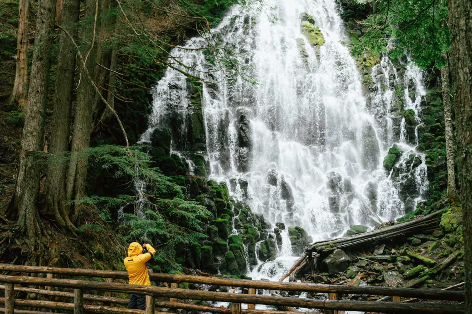 Berty Mandagie standing at Ramona Falls Oregon