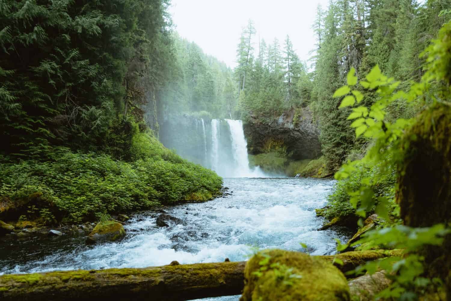 Koosah Falls in Oregon