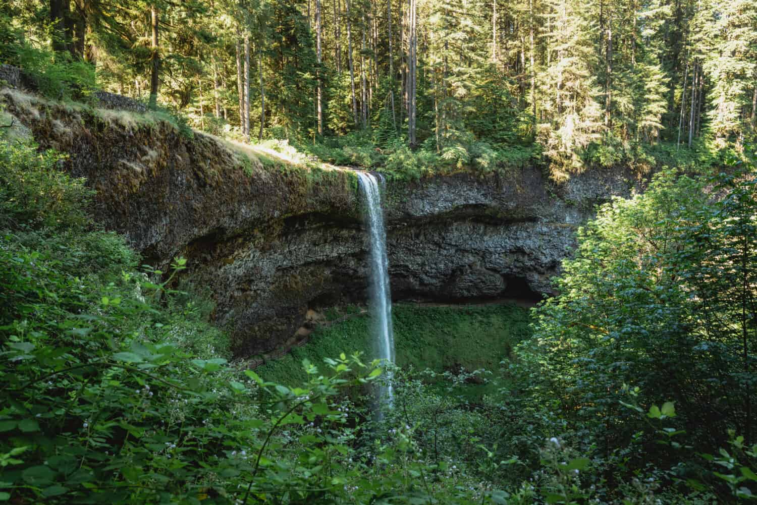 The South Falls at Silver Falls State Park - Trail of Ten Falls