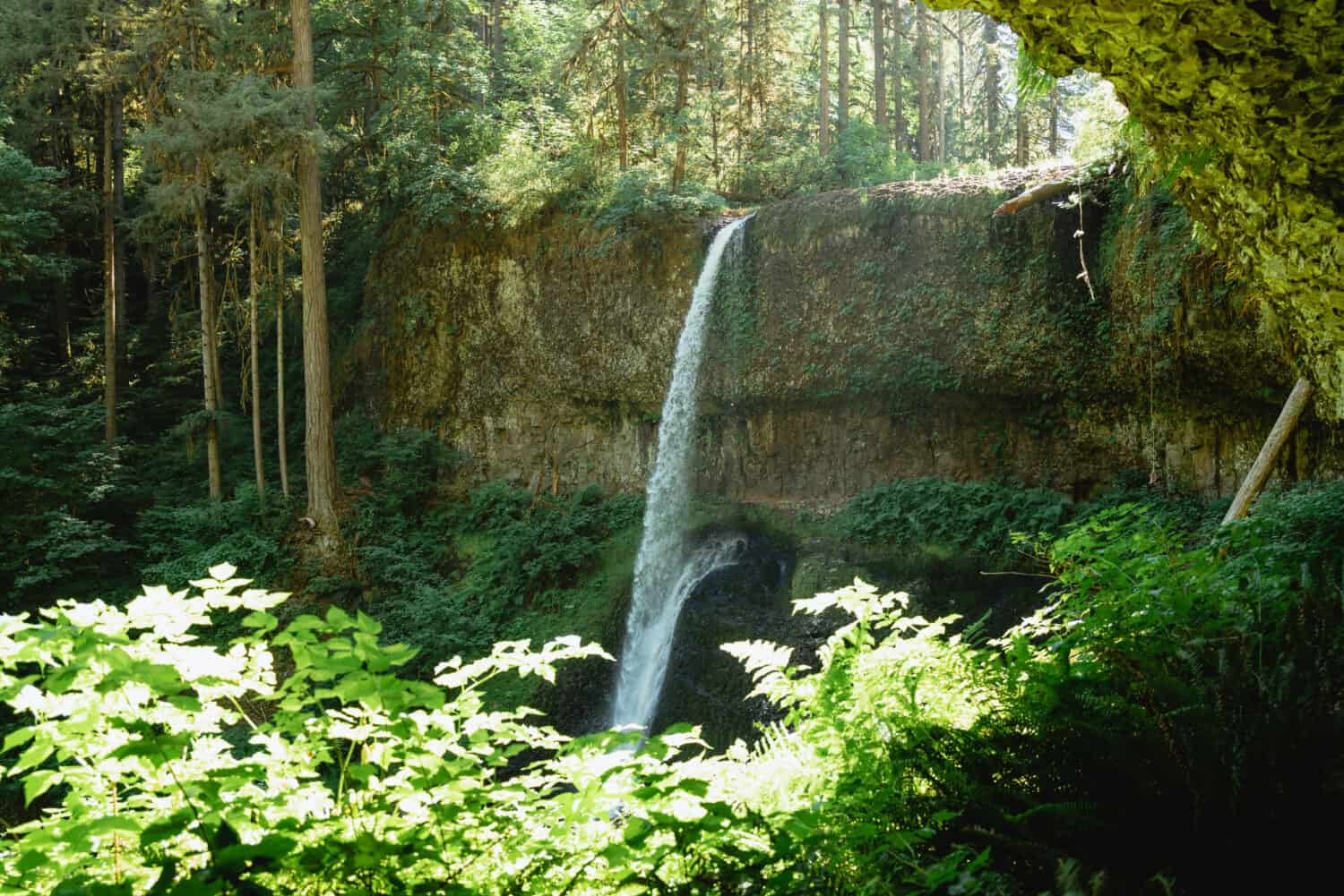 Landscape view of Silver Falls State Park Waterfall - Trail of Ten Falls. The weather is clear and sunny in mid-july
