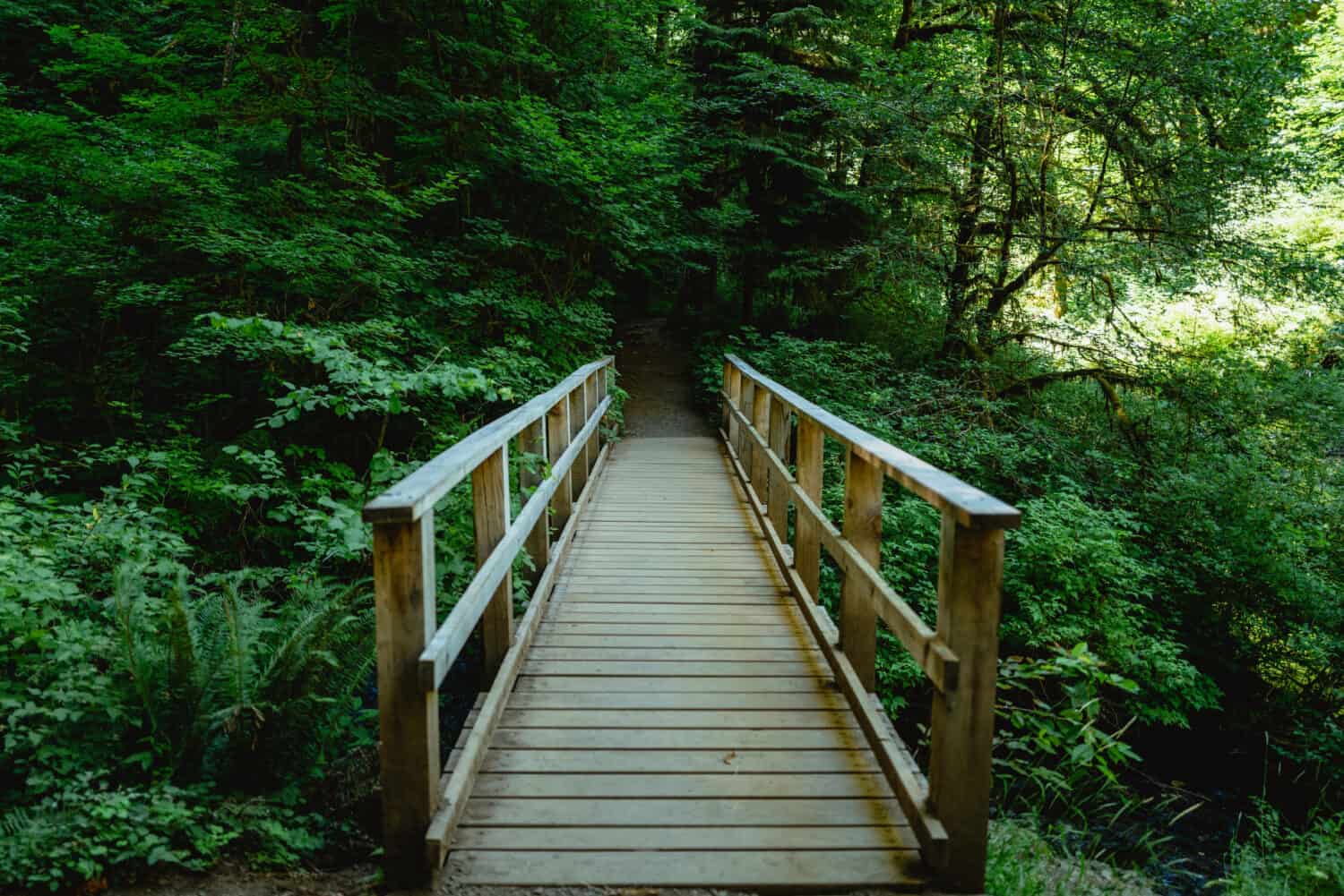 Wooden Bridge on the Trail of Ten Falls, Oregon