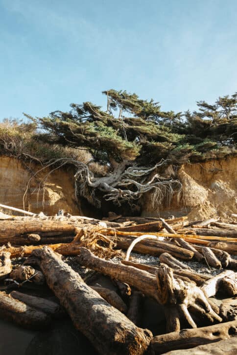 34 Impressive And Fun Facts About Washington State The Mandagies