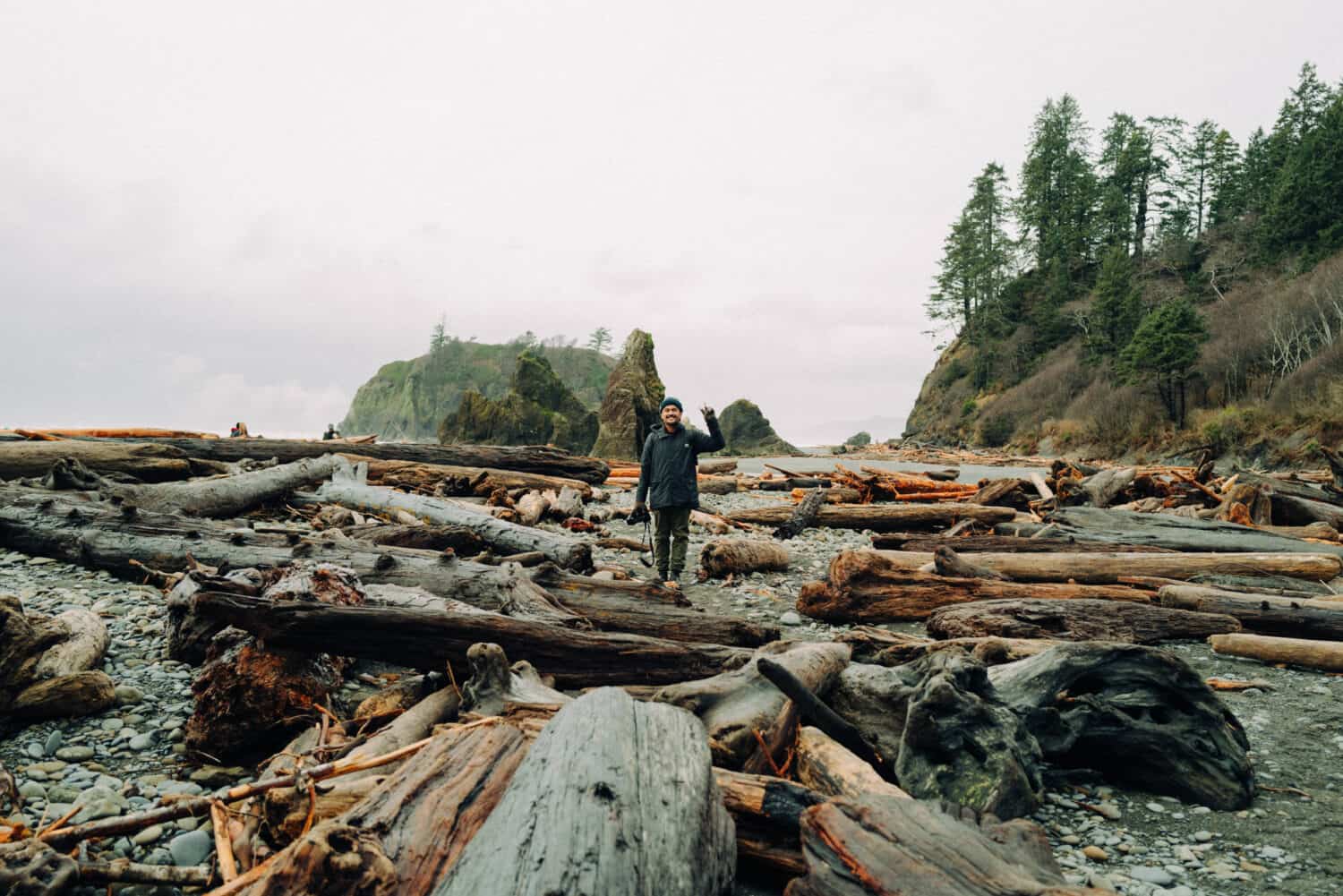 driftwood logs at Ruby Beach