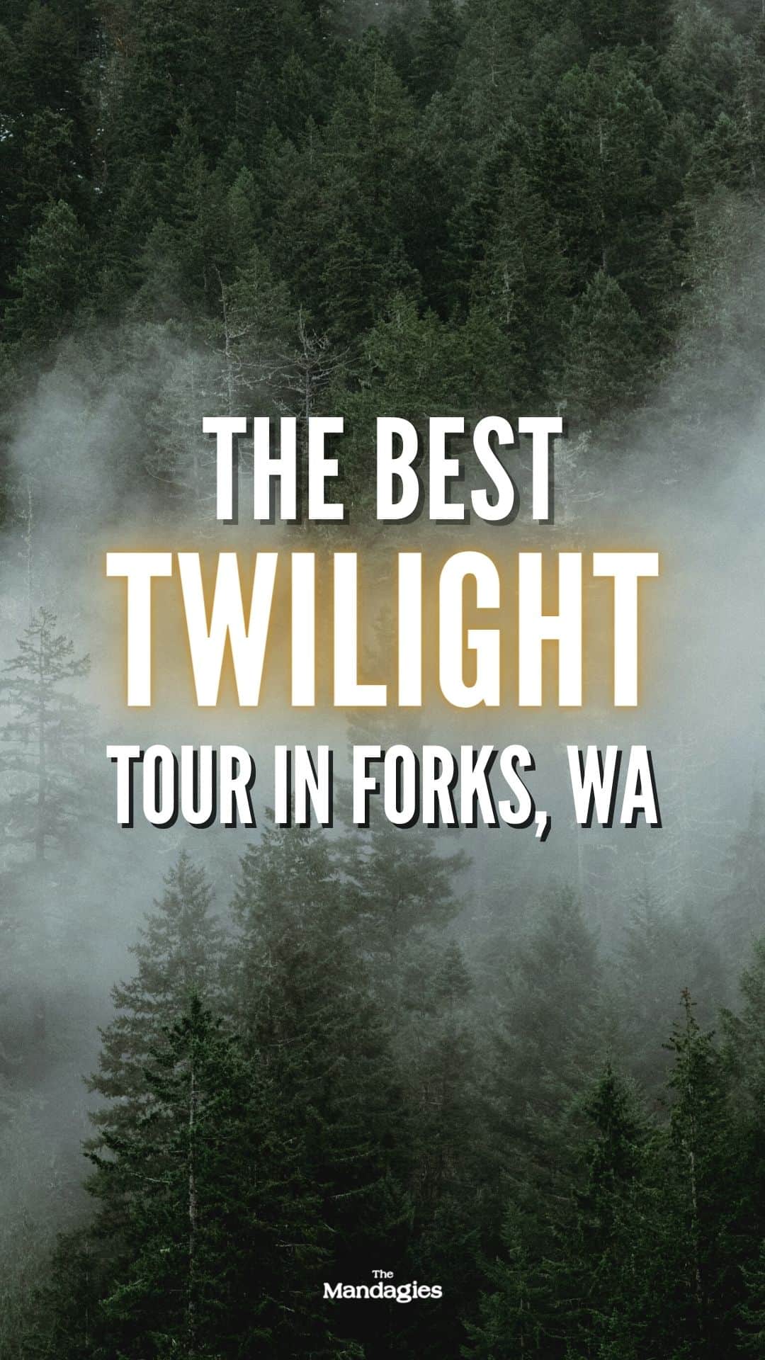 The Best Forks Twilight Tour In Washington