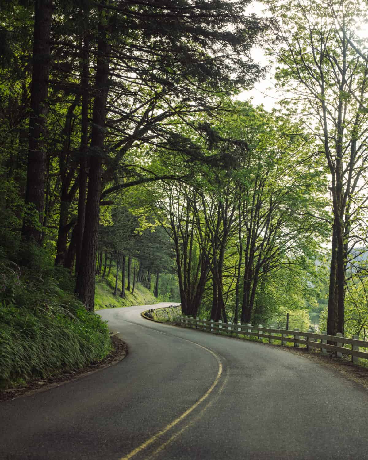 Drive The Historic Columbia River Highway - Things To Do In The Columbia River Gorge