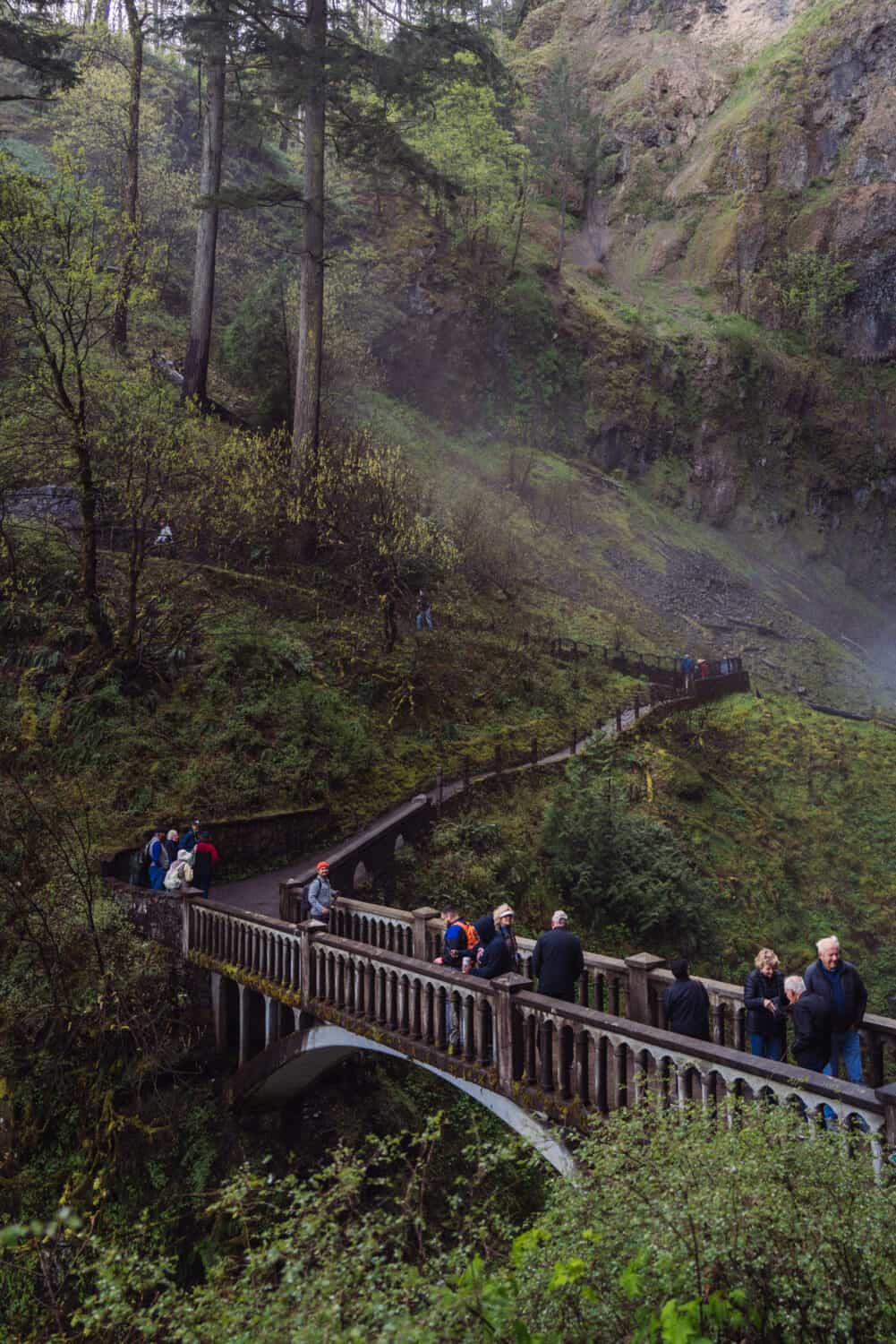 Columbia River Gorge Tours