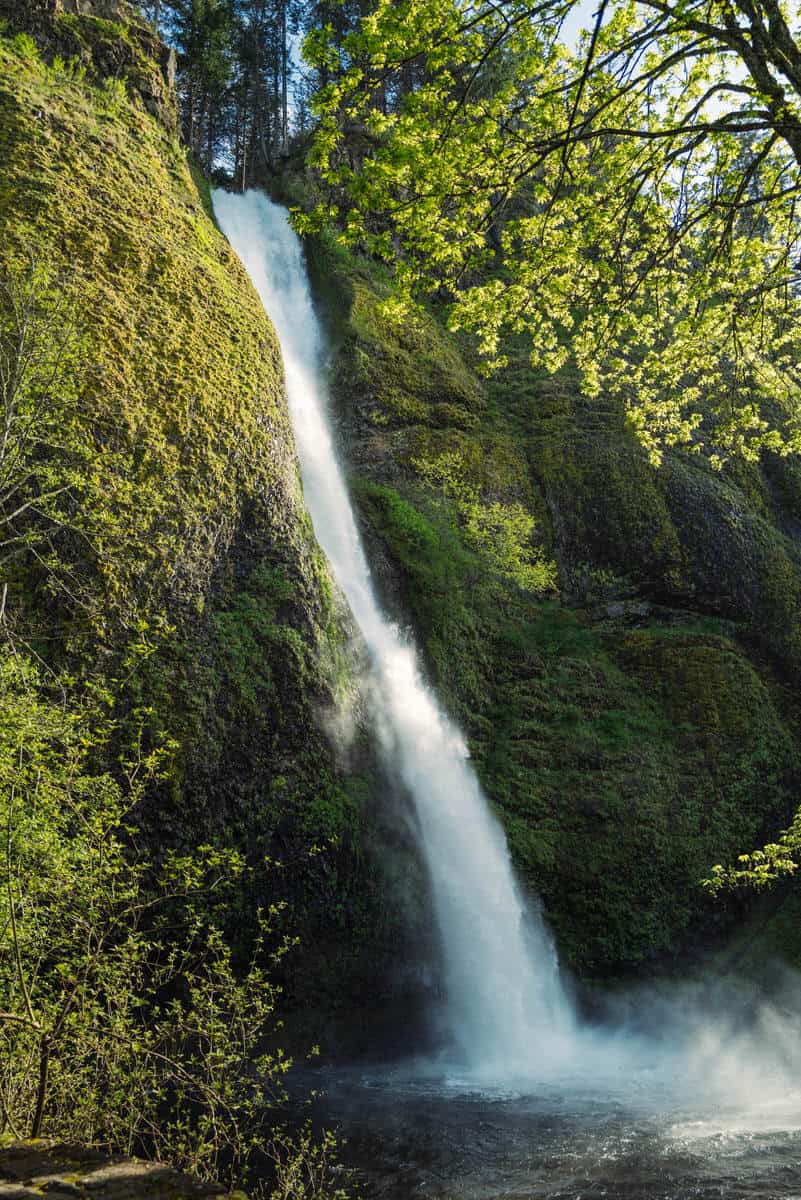 Horsetail Falls - Columbia Gorge Falls