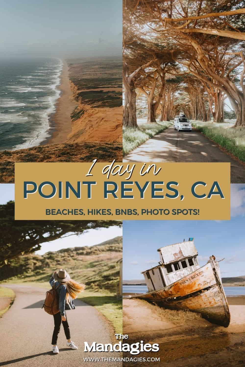 Things To Do In Point Reyes National Seashore