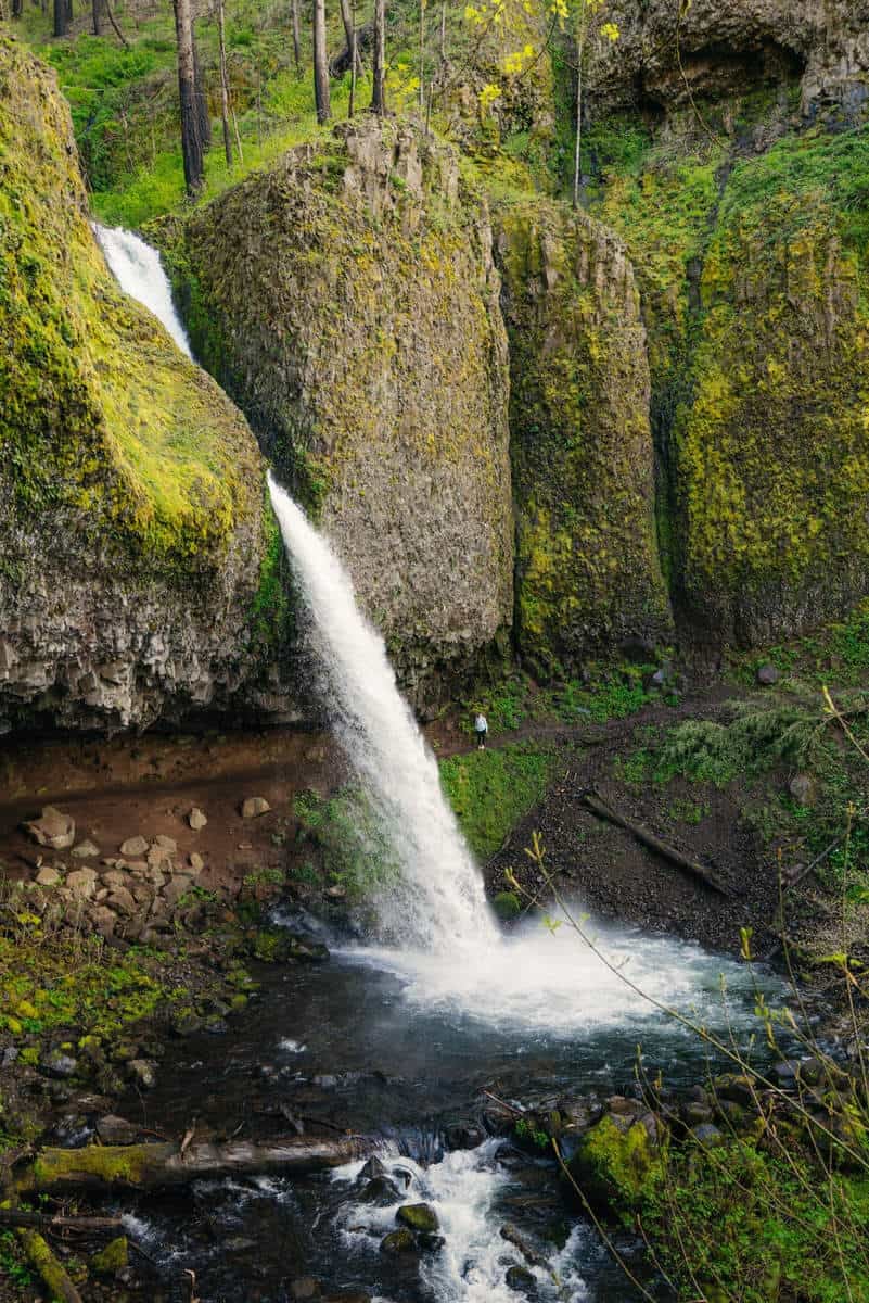 Ponytail Falls aka Upper Horsetail Falls. -TheMandagies.com