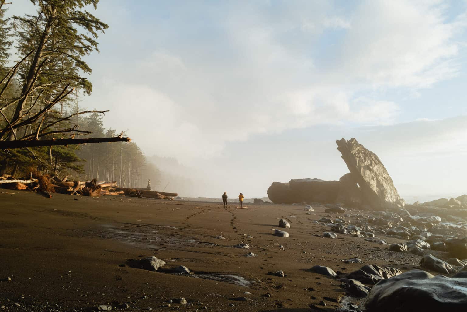 24 Famous Movies Set In The Pacific Northwest (+ Filming Locations ...