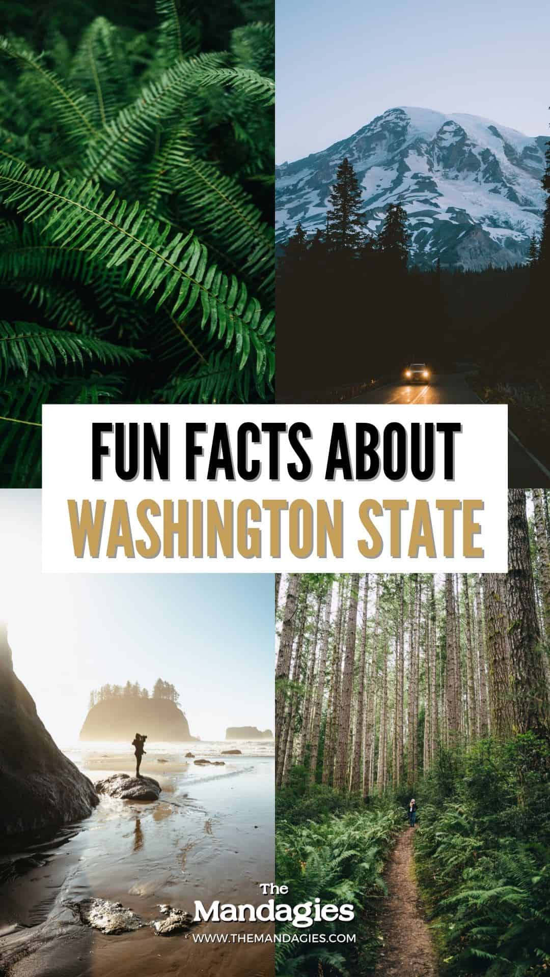 Fun Facts About Washington State - TheMandagies.com