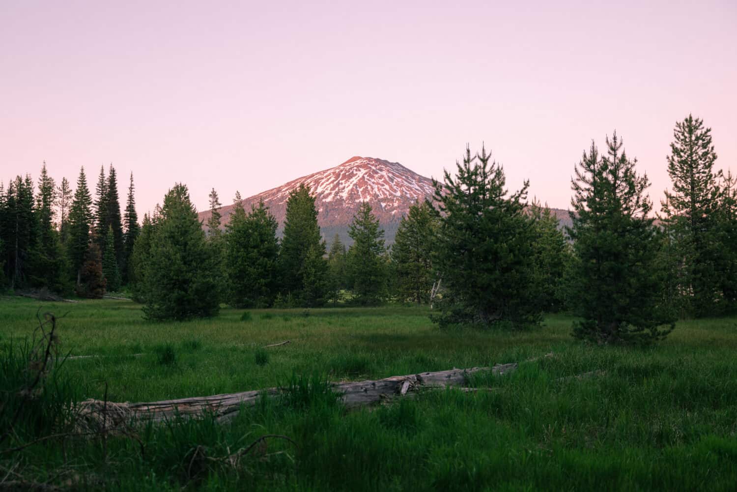 Mount Hood in the summer season