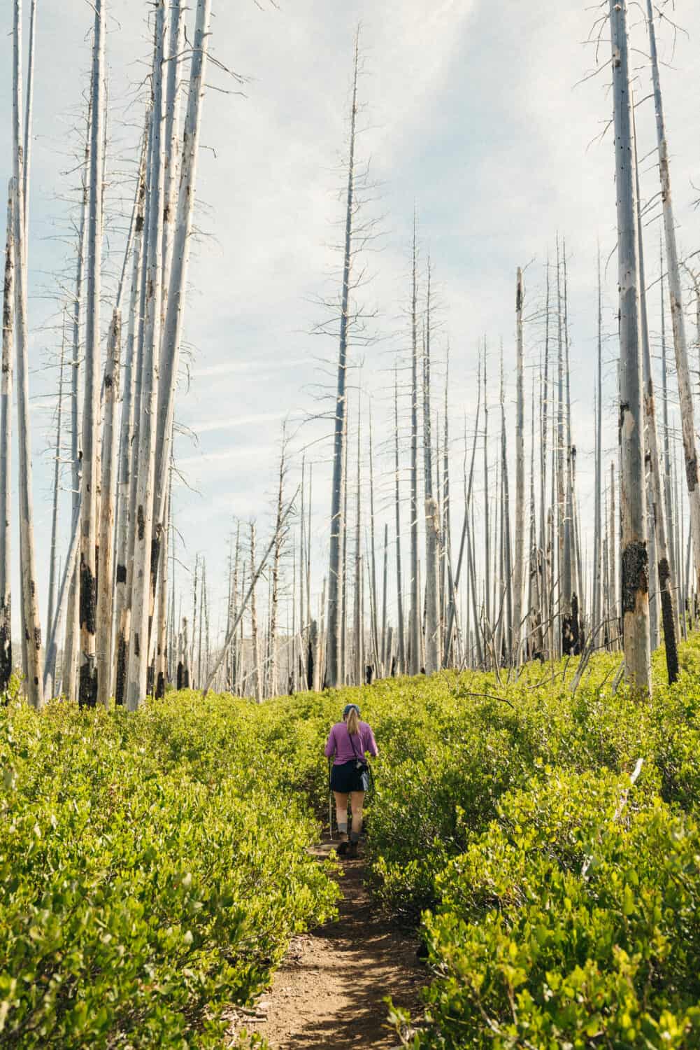 Chush Falls - Hiking Trails in Bend, Oregon - TheMandagies.com