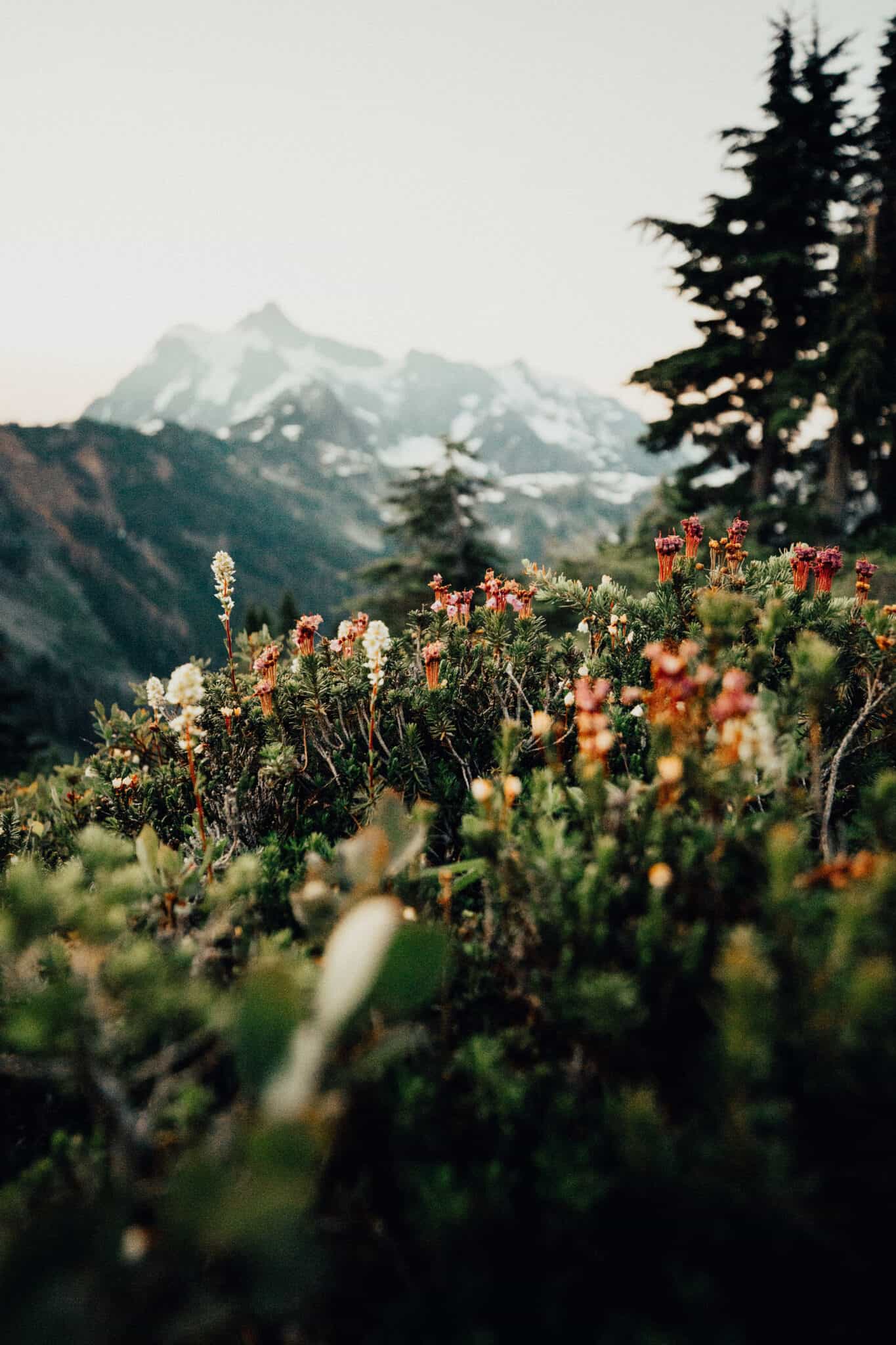 24 Famous Movies Set In The Pacific Northwest (+ Filming Locations ...