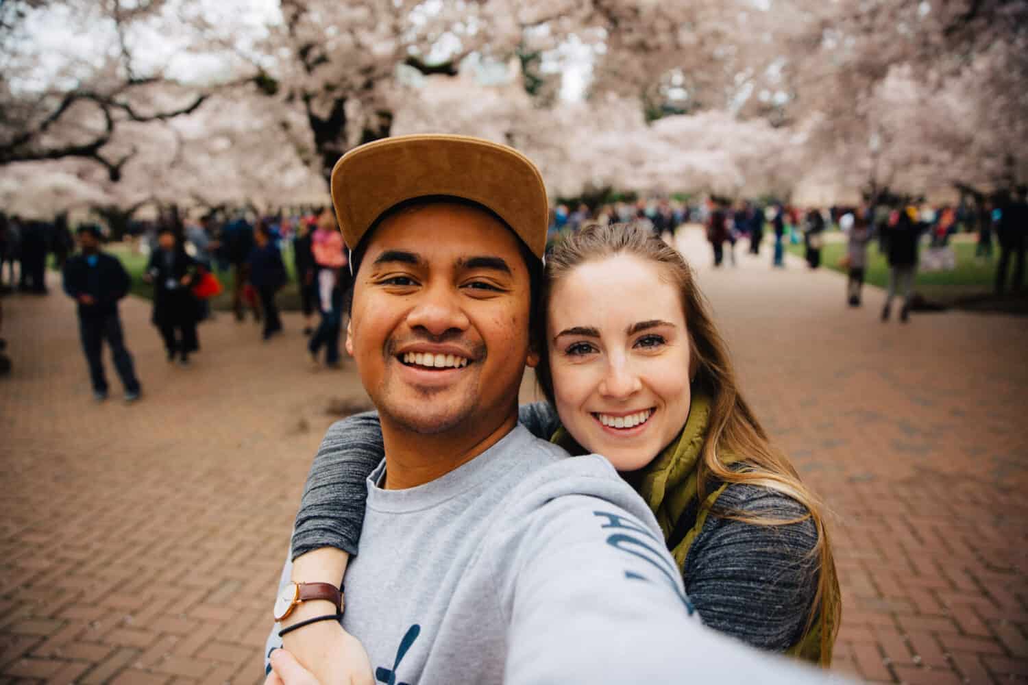 Cherry Blossoms at University of Washington