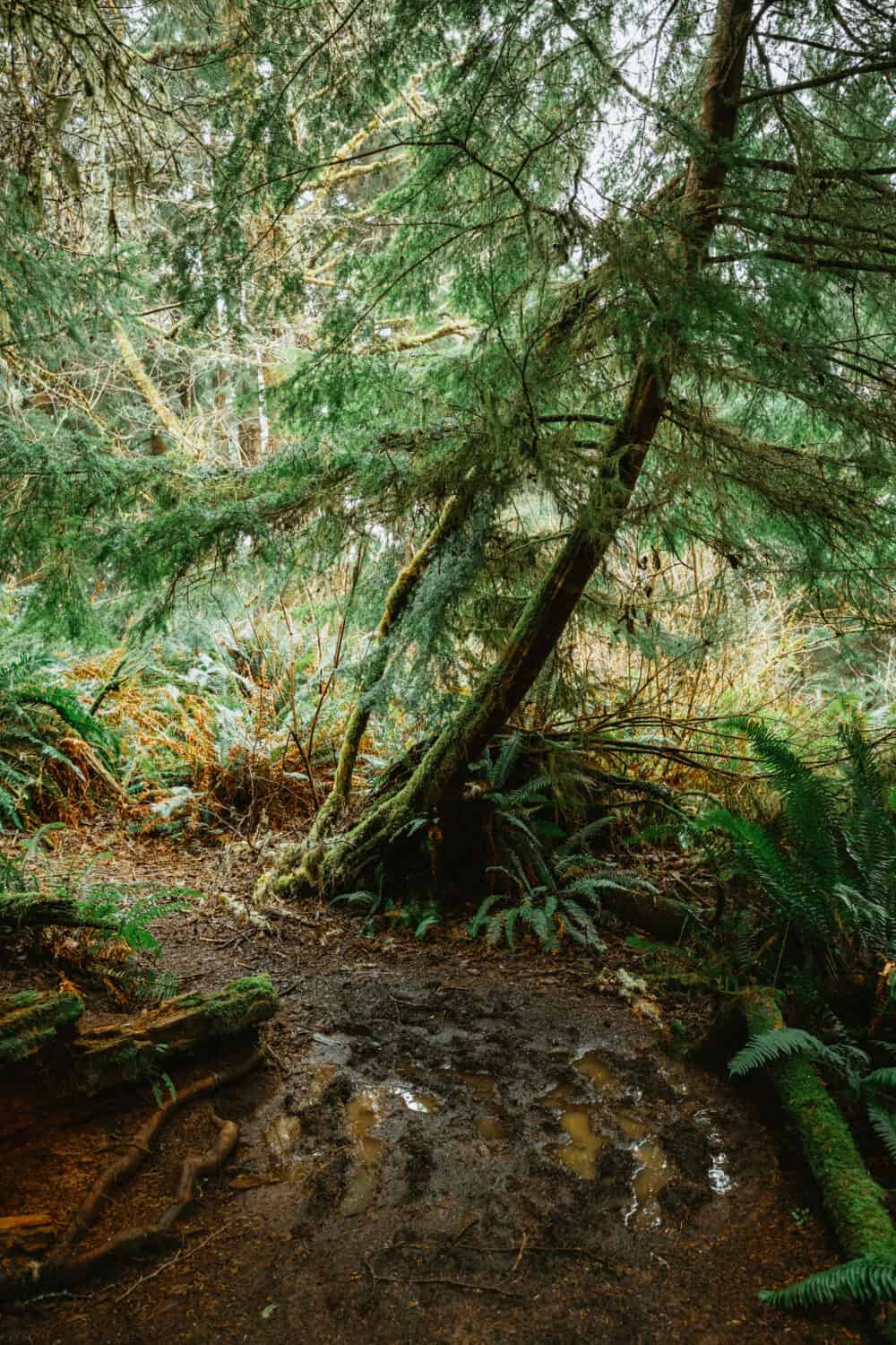 Haunted places in Oregon