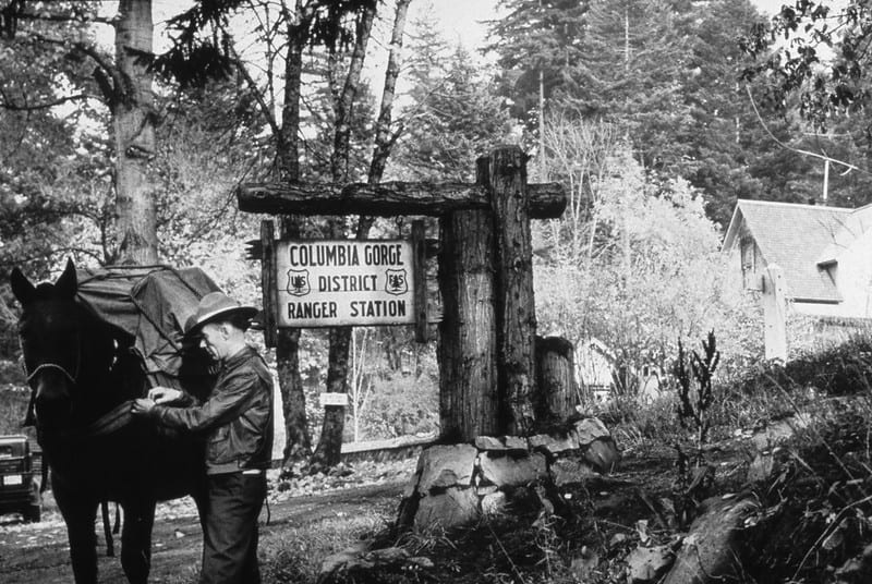The 21 Most Haunted Hikes in the Pacific Northwest