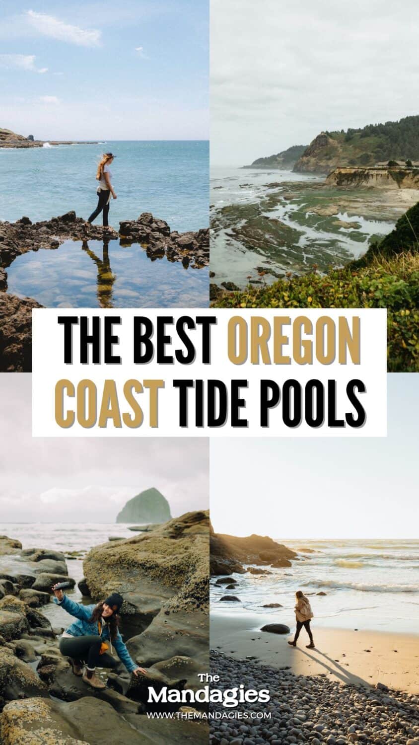 The Best Oregon Coast Tide Pools (Pin)