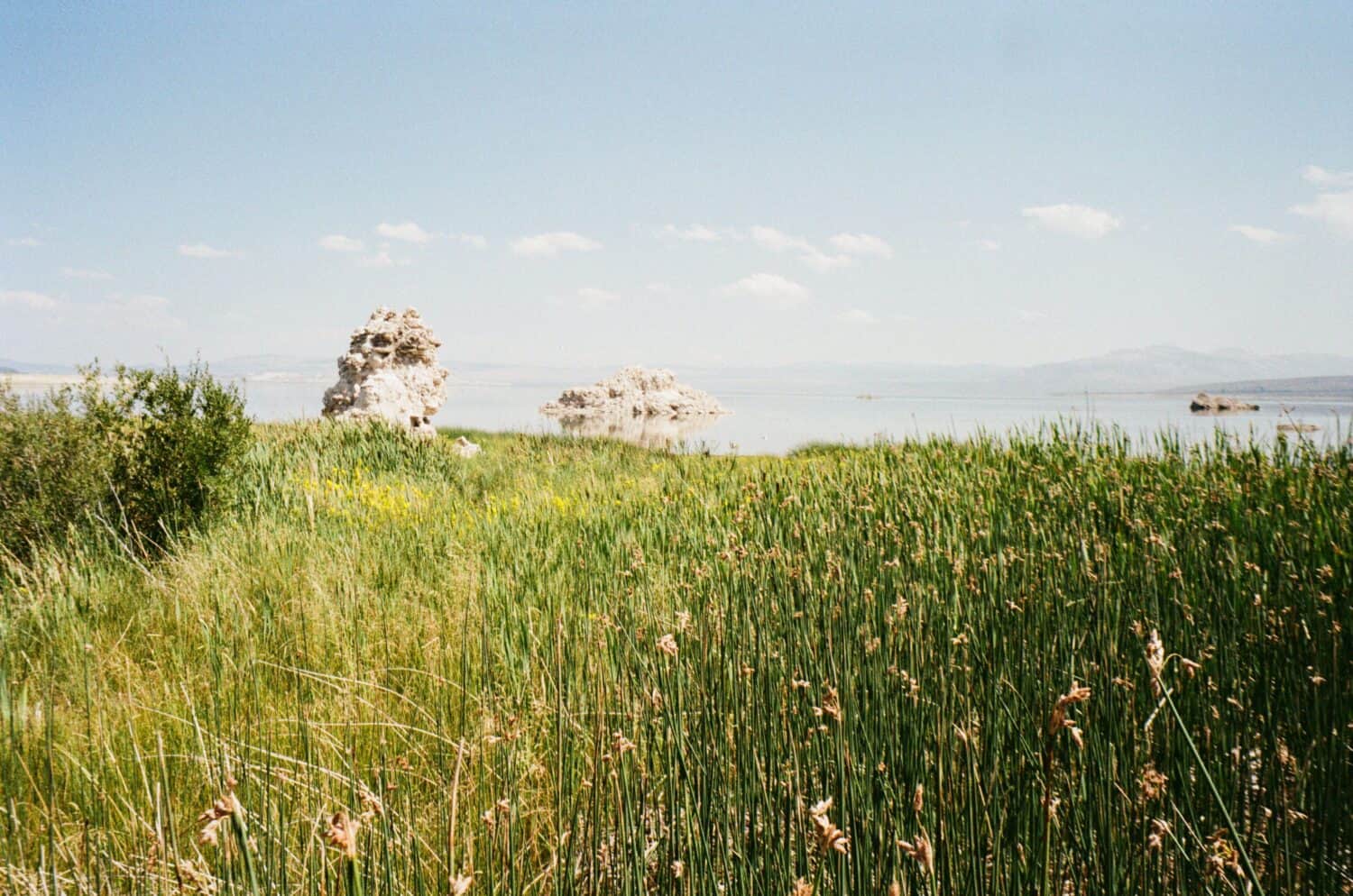 Mammoth Lakes on a Highway 395 Road Trip