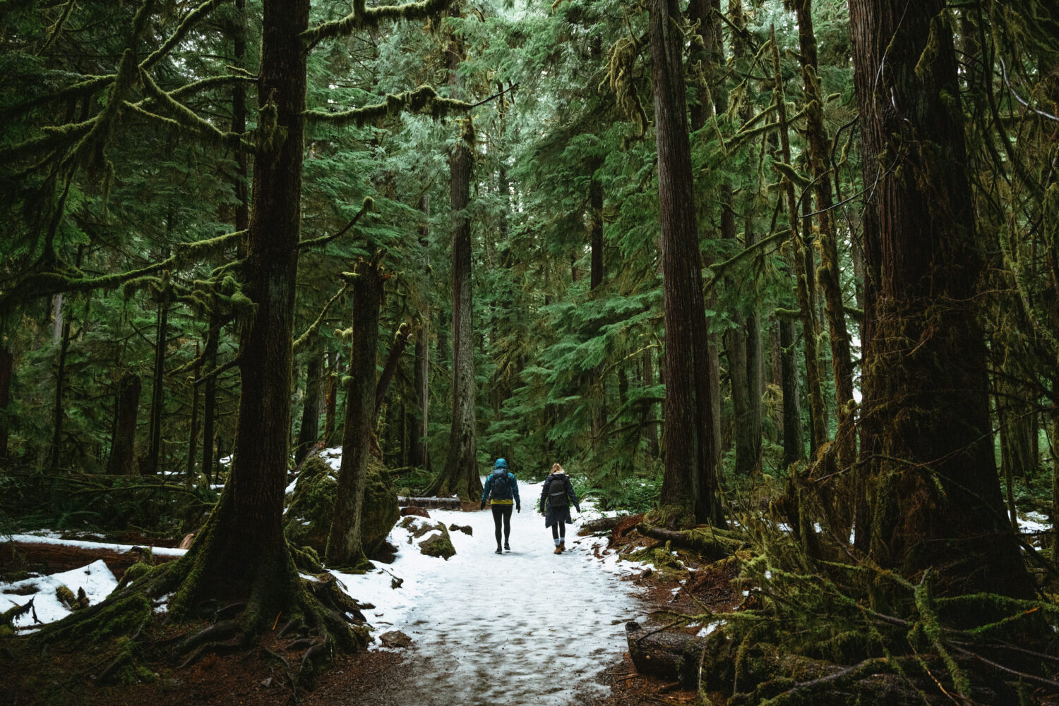 What To Pack For Olympic National Park in Winter