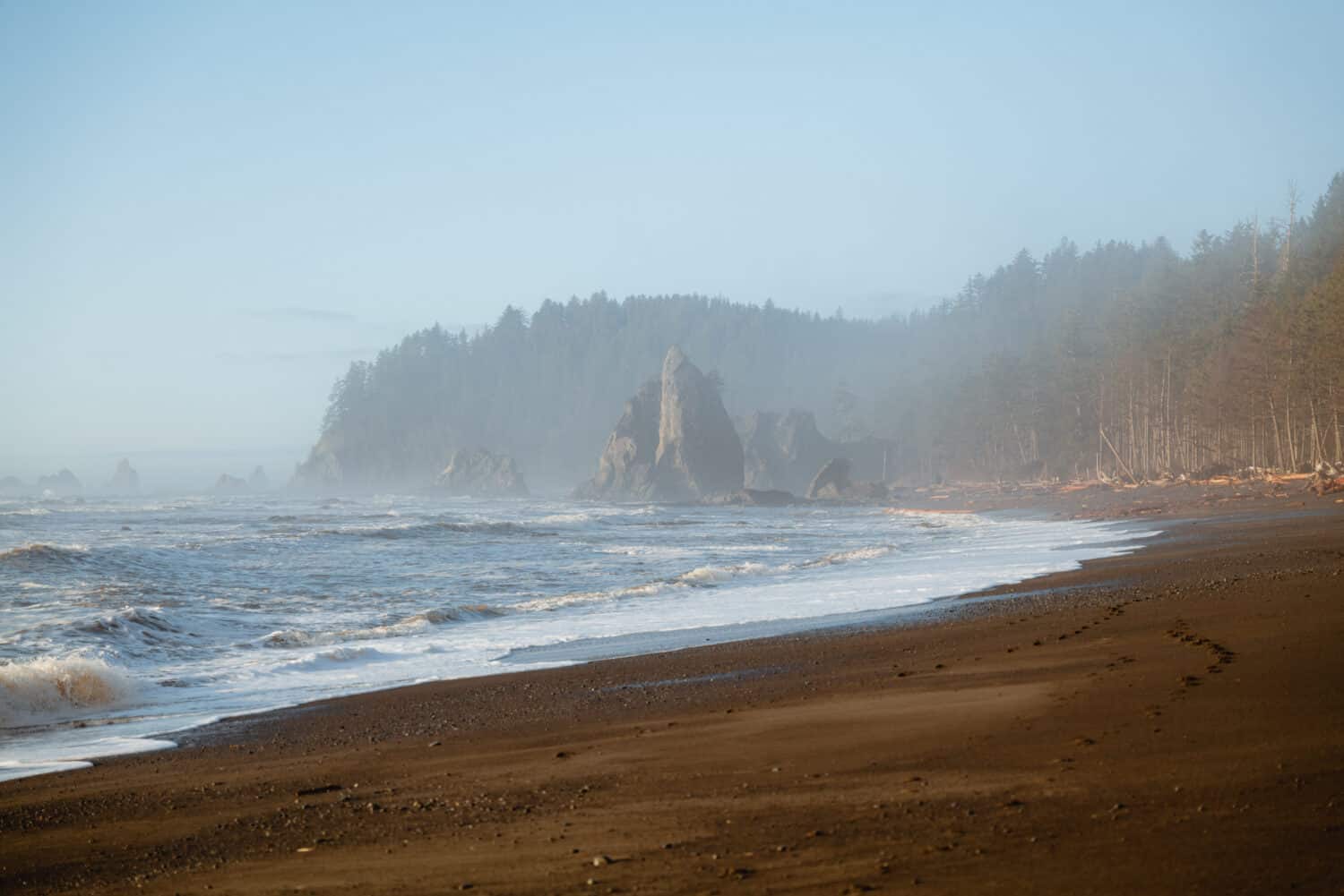 What to bring to Olympic National Park in February - Tide charts