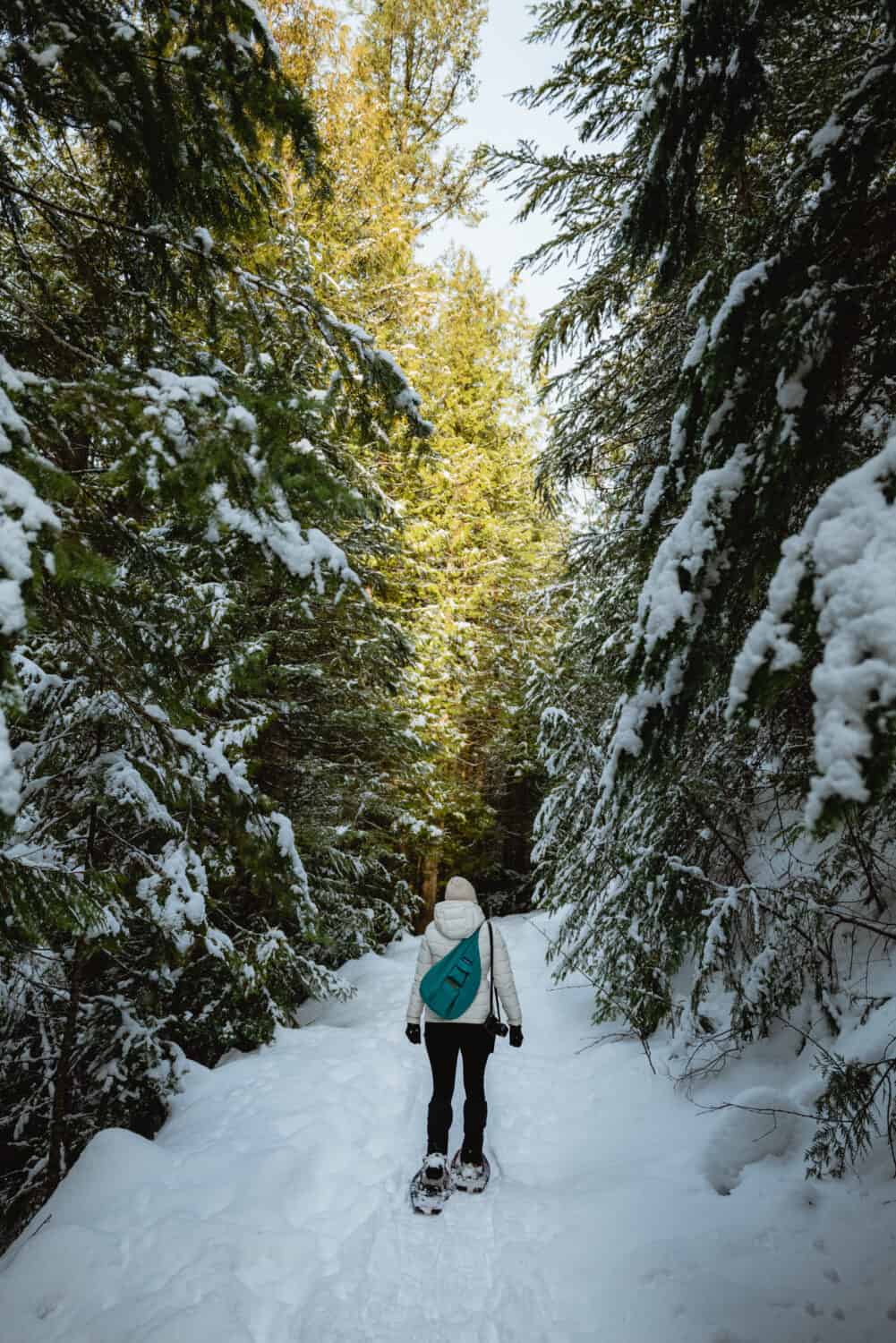 Things To Do In Idaho During Winter - Snowshoeing