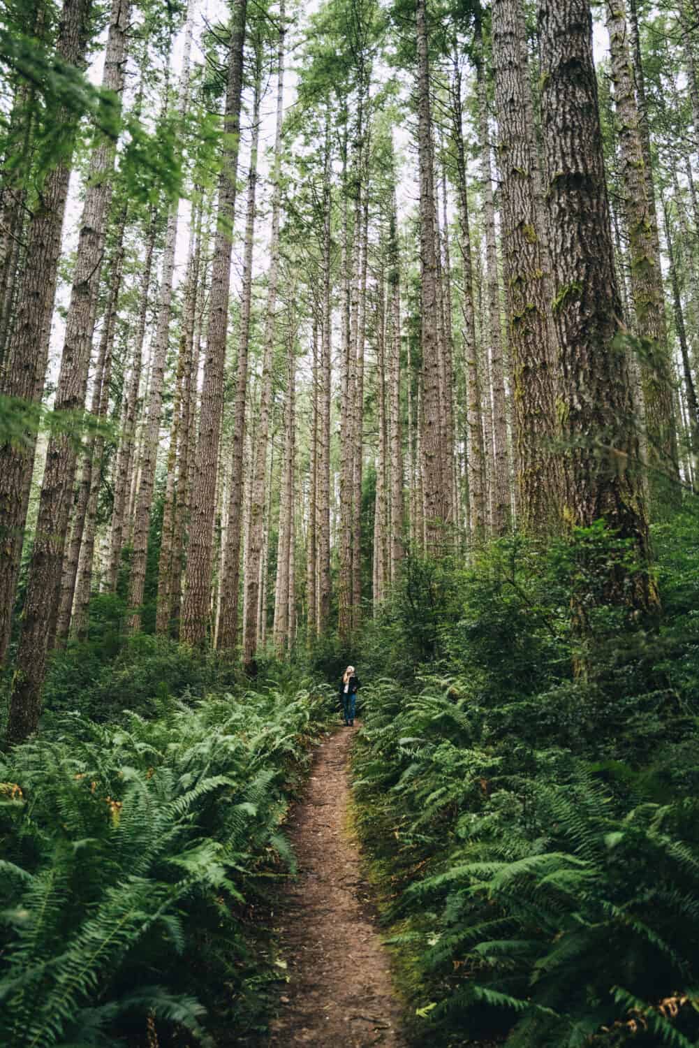 Day Trips from Seattle in Winter - Emily walking on a path in Kitsap County parks