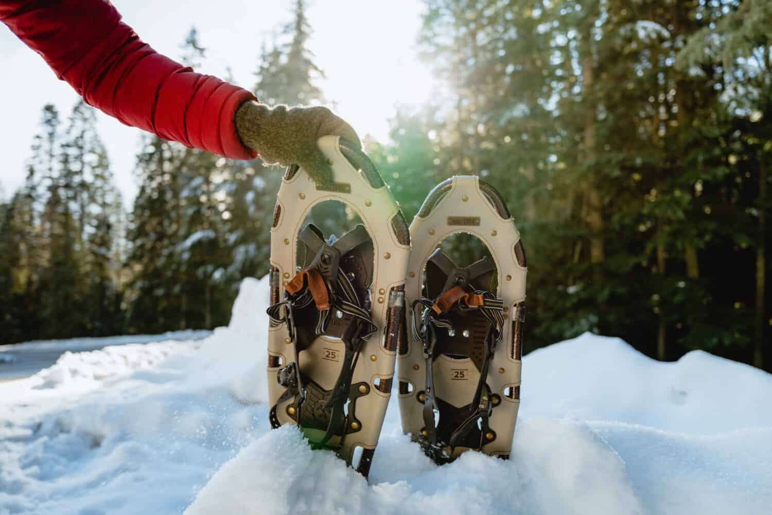 Snowshoeing during winter in Washington